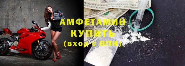 индика Белокуриха