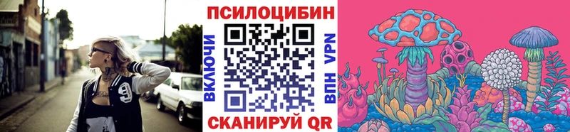 KRAKEN вход  сколько стоит  Чехов  Псилоцибиновые грибы мицелий 